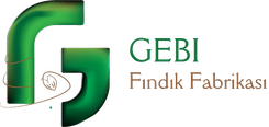 GEBİ fındık